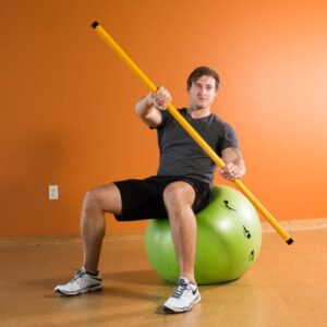 Smart Stick- Rowing on Smart Stability Ball