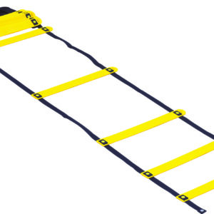 Smart Modular Acceleration Ladder