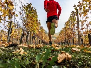 man running in the vineyards in autumn