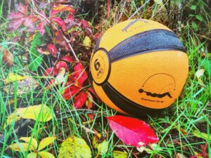 Smart Medicine Ball in Grass with Leaves