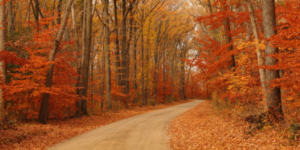 Fall Workout